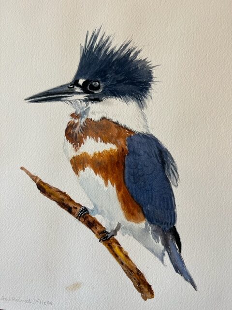 Test - Alternative Text Kingfisher